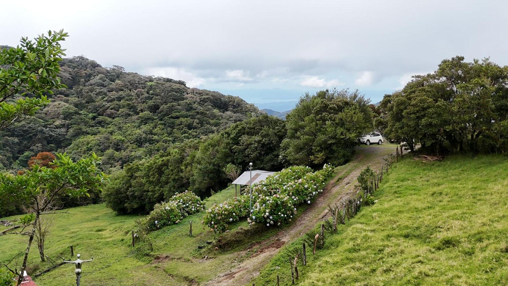 Dadirri House Minicasa Santa Elena Monteverde Eksteriør billede